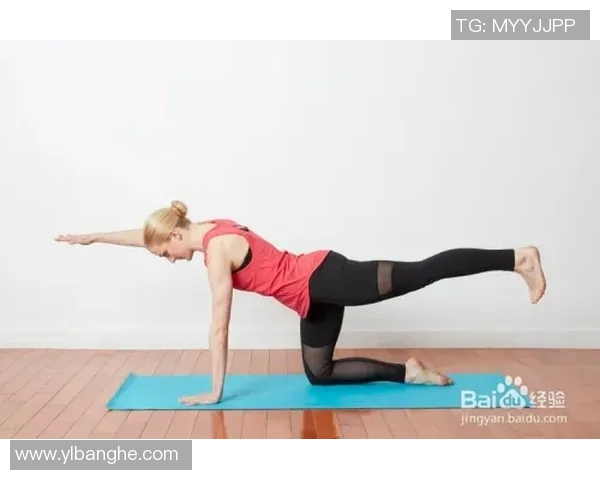 坐姿哑铃推举的主要锻炼部位及其对上肢力量提升的影响分析